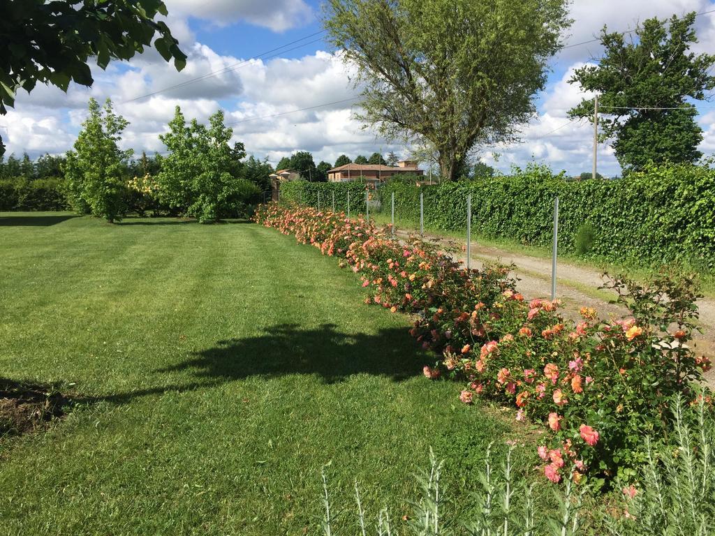 Vigorso 41 Country House Budrio  Eksteriør bilde